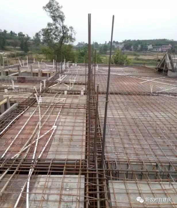 65建兄弟雙拼別墅，重回農(nóng)村，只為父母的期盼