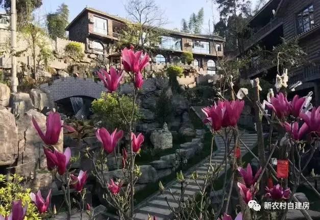 他花1200萬把園林搬回家，這才是人生的贏家