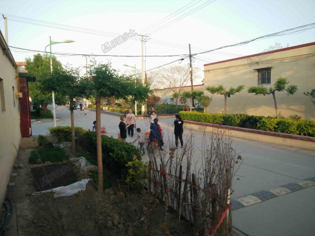 華北地區(qū)典型一層自建房實景展示，相信你曾在哪兒見過