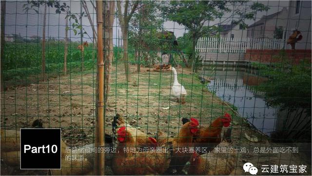 清明小長假，寶家業(yè)主回鄉(xiāng)下，一起來體驗(yàn)寶家自建別墅一天的日常