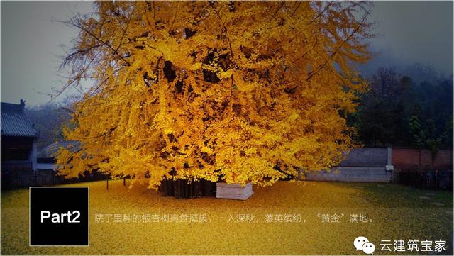 清明小長假，寶家業(yè)主回鄉(xiāng)下，一起來體驗(yàn)寶家自建別墅一天的日常