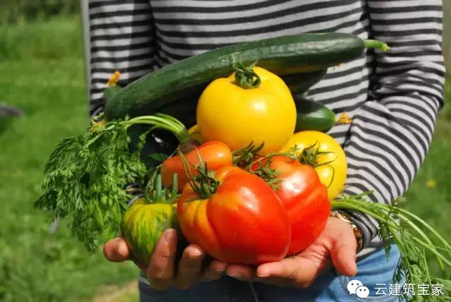 田園風景房，未來舒適生活的新標桿