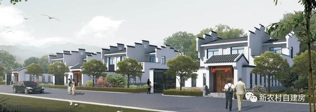 25萬建套中式鄉村別墅，有院子和菜地，把鄰居都比下去