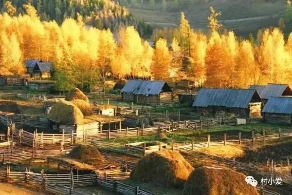 讓房地產商竊喜的第四代住房，竟輸給了鄉村自建房