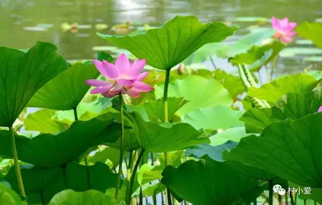 免費帶你游覽京郊最美的法國格拉斯小鎮