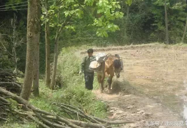 湖北農村自建房，村民不讓修馬路，全程用馬拉材料
