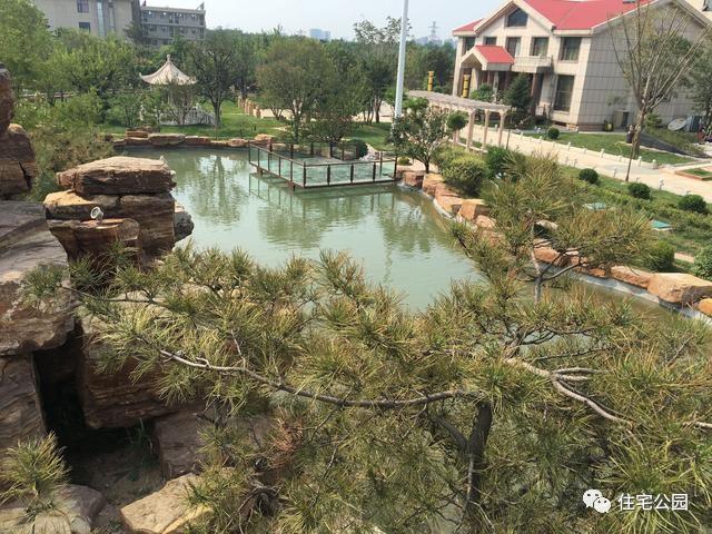 山東豪擲500萬自建園林美景，故宮后花園都不能與之匹敵！