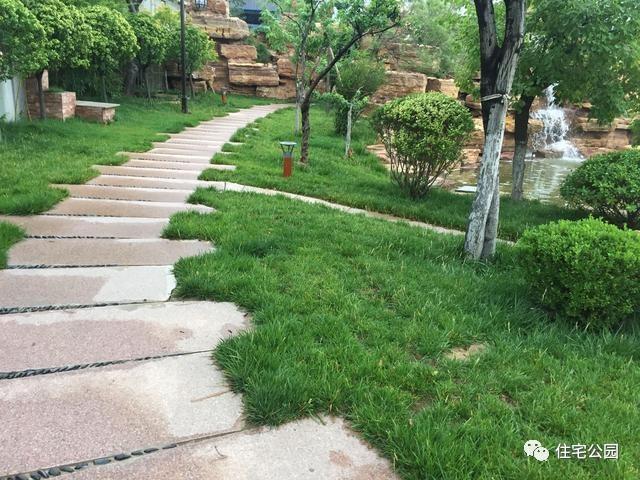 山東豪擲500萬自建園林美景，故宮后花園都不能與之匹敵！