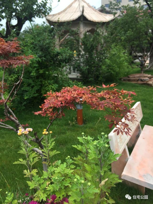 山東豪擲500萬自建園林美景，故宮后花園都不能與之匹敵！