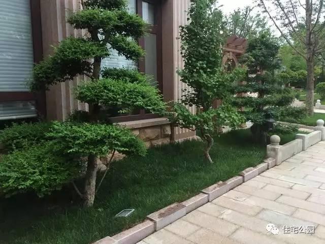 山東豪擲500萬自建園林美景，故宮后花園都不能與之匹敵！