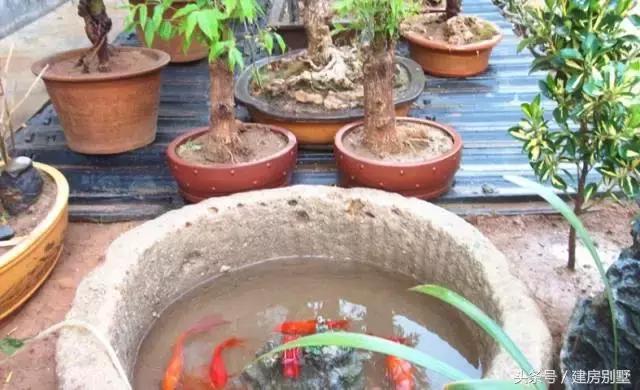 陜西自建四合院式住宅，古色古香，全被一個海爾太陽能熱水器毀了