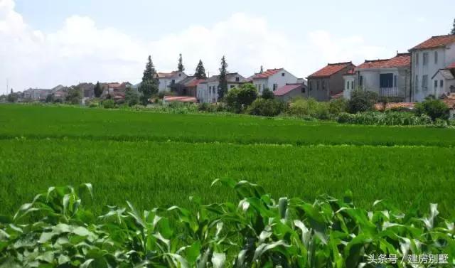 江蘇美女回娘家干了件動靜不小的事兒，鄰村的都跑來看熱鬧