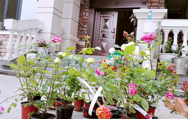 女漢子大年三十不看春晚籌劃建房，有壁爐、露臺和薔薇花墻