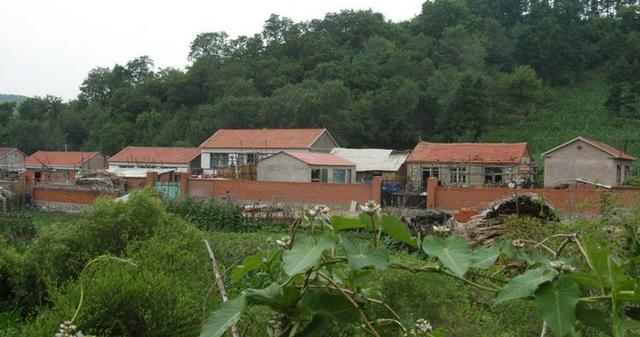 第一次去農村的婆家，就被他們家的房子嚇到了