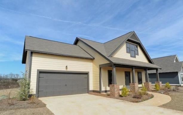 16套二層鄉(xiāng)村別墅，借錢也要建，有面又有范