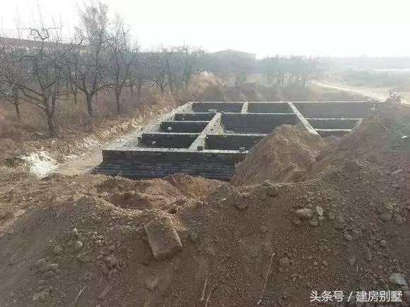 河北兄弟自建兩層聯排住宅，外觀氣勢仿若“故宮”