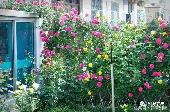 浙江湖州土豪老板自建三層豪宅，快活似神仙