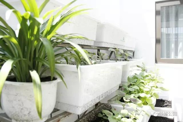 6.5米X11米，滿眼綠色的鄉村別墅，含平面圖