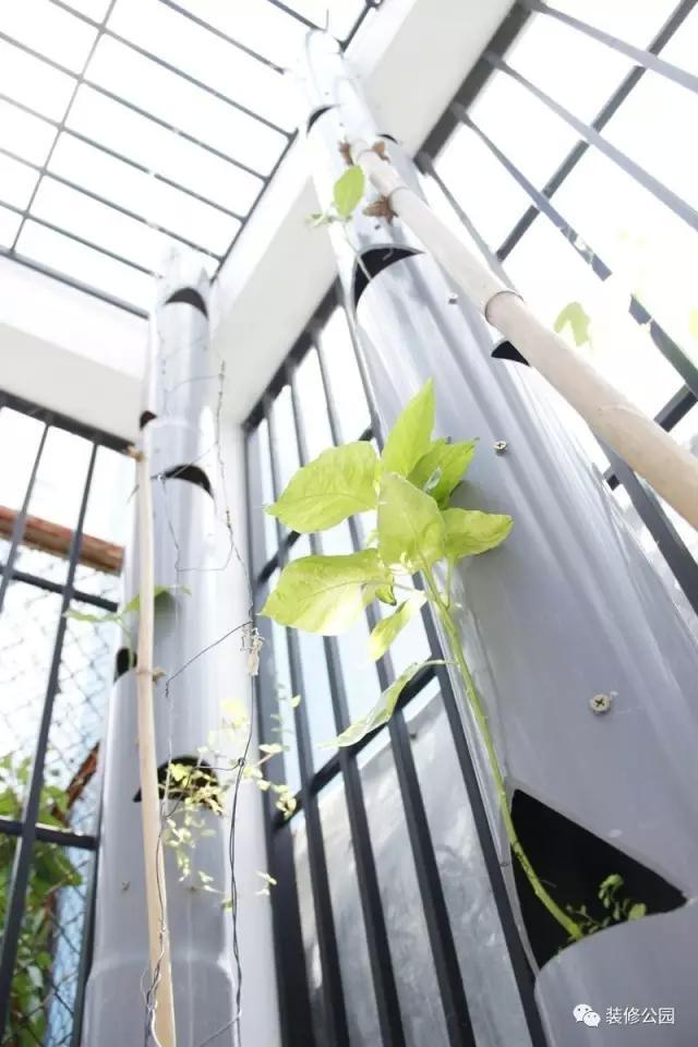 6.5米X11米，滿眼綠色的鄉村別墅，含平面圖