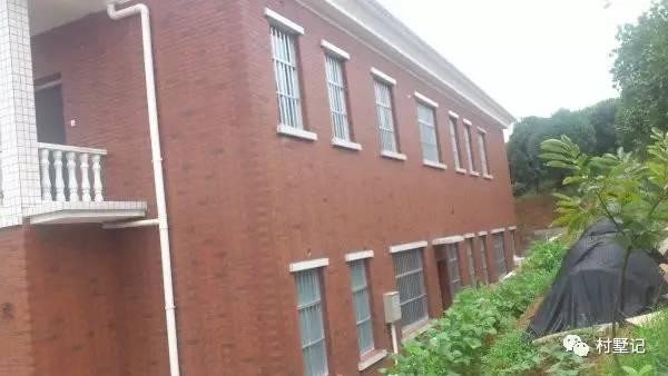 婆婆執意要兩兄弟自建農村雙拼別墅，沒想到建出來效果驚人