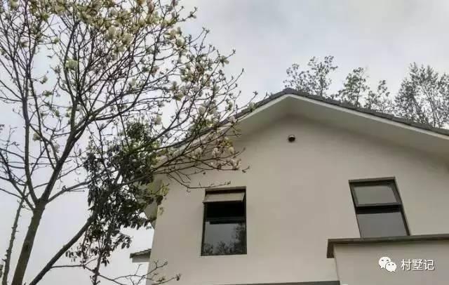 湖北老板40萬建中式農村別墅，看一眼就心動