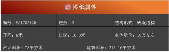 9X10米農村小別墅戶型，5室2廳帶露臺，外觀造型大氣。