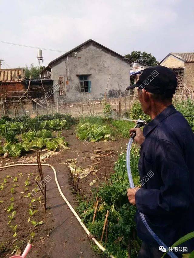 曬家丨回鄉蓋別墅，80歲母親全程監工，60萬建成引來全鄉觀摩！