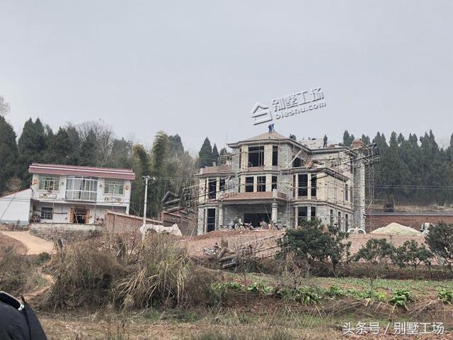 超贊的兄弟雙拼聯排別墅設計圖，建成之后秒殺旁邊的小樓房