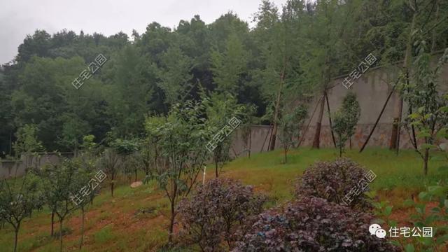 今日實(shí)例別墅設(shè)計(jì)圖，回農(nóng)村建別墅，也算是衣錦還鄉(xiāng)了，還可以盡盡孝道