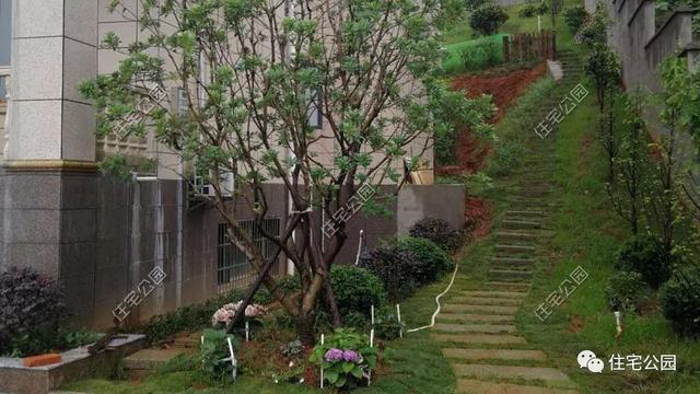 今日實(shí)例別墅設(shè)計(jì)圖，回農(nóng)村建別墅，也算是衣錦還鄉(xiāng)了，還可以盡盡孝道