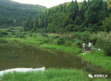 農村小伙自建一層小別墅過程全直播，自建房的可以看看哦
