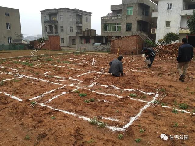 在國外定居不如回家蓋別墅，自建房您的理想首選