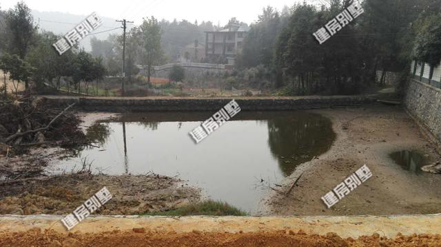 21.7米x14.7米三層農村自建房，豪華大氣，農村自建房里的“瑪莎拉蒂”！