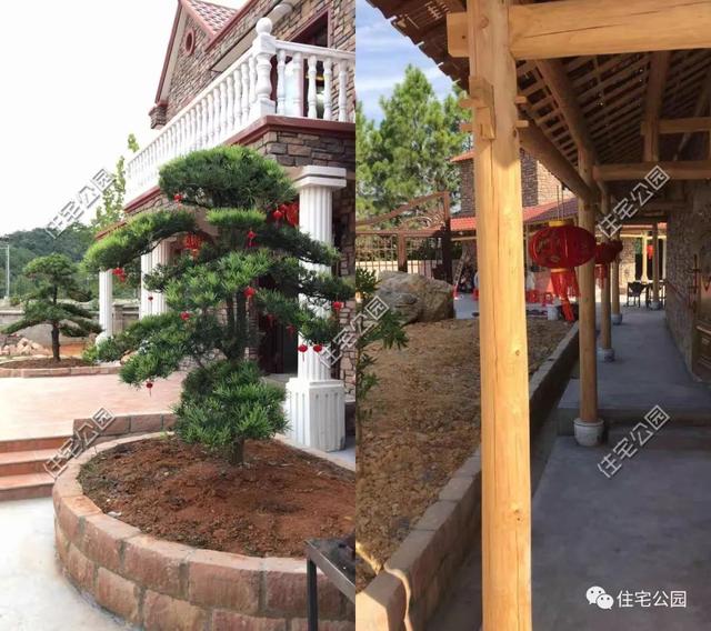 200萬的別墅設計圖，房美人夸，最贊的還是后花園。