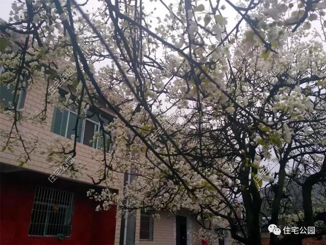 趁熱鬧來曬曬我的新房子，帶大院的兩層小洋樓，27萬蓋好美滋滋