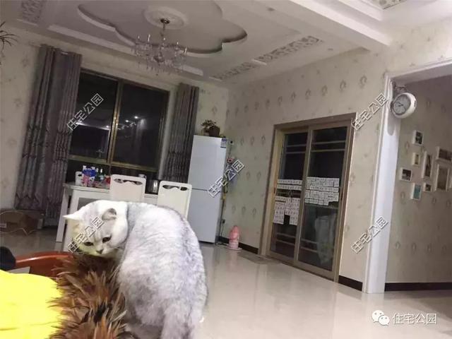 趁熱鬧來曬曬我的新房子，帶大院的兩層小洋樓，27萬蓋好美滋滋