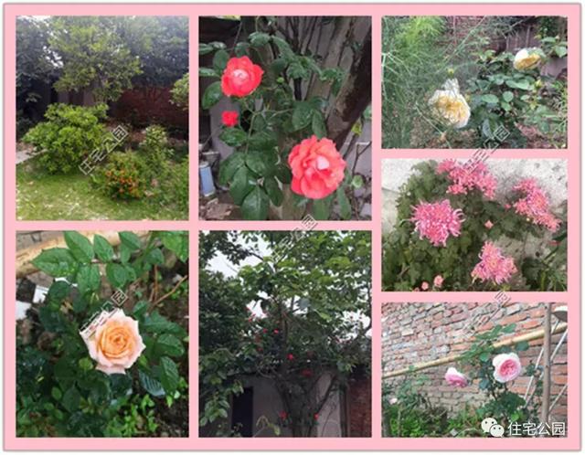 趁熱鬧來曬曬我的新房子，帶大院的兩層小洋樓，27萬蓋好美滋滋