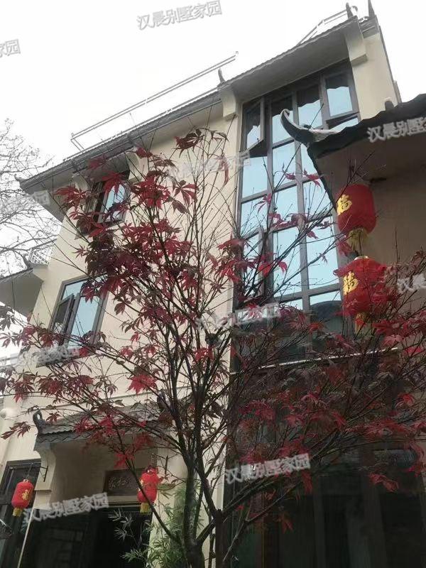 兩面鄰居開間只有8.8米，怎么建房？看看這套花50萬建成的中式別墅！