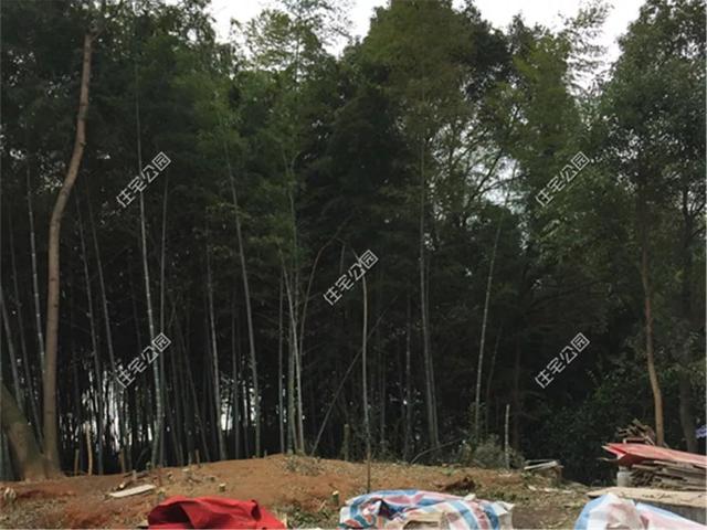 農村包工頭給自家建房，30萬建成一層別墅，質量更是沒得說