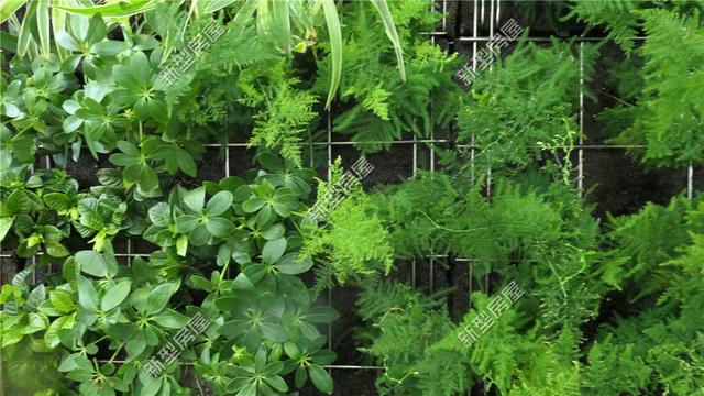 想修建輕鋼別墅？先搞清楚構(gòu)建、樓板、外墻和取暖這4個問題！