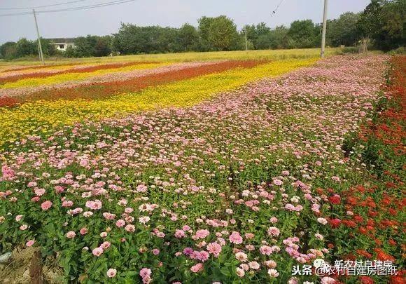 江蘇小伙回農(nóng)村自建別墅，包工包料每瓶1200，村里還有花海、草坪！