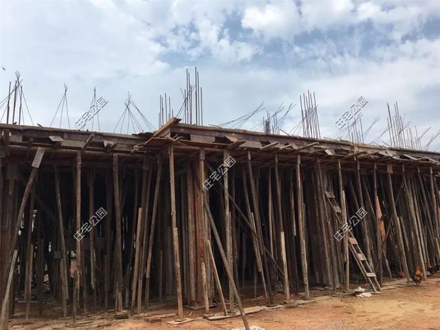 我和叔叔蓋的雙拼養老別墅，每人35萬，400多平的大院子就是爽