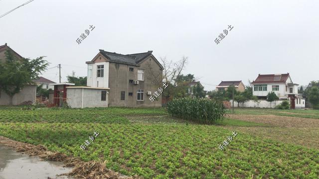 現代風格別墅設計圖，簡約時尚，干凈利落，顯現清新自然氛圍