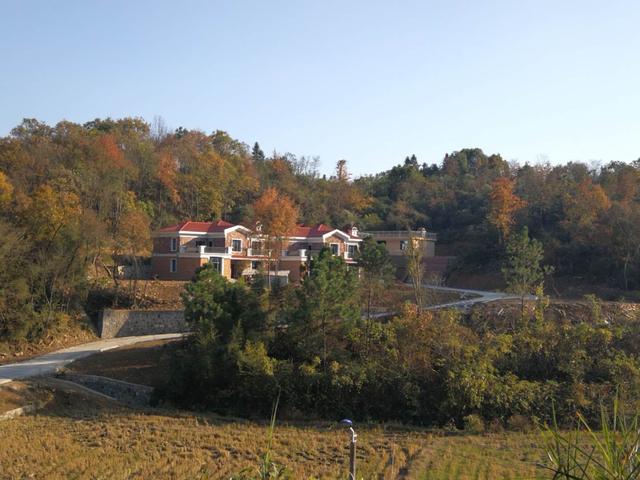 兩兄弟建雙排別墅設計圖，鄰居看了都羨慕。