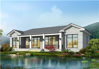 經濟實用一層雙拼農村別墅平房設計圖，含外觀效果圖片