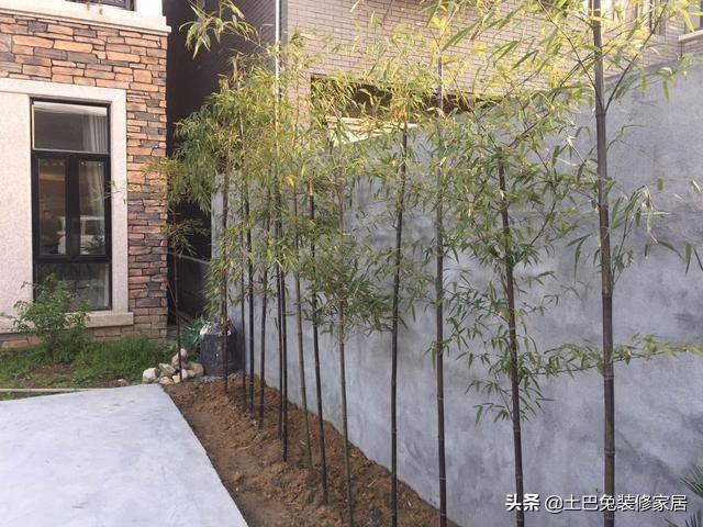 50萬農(nóng)村自建二層小樓，超值，還帶裝修