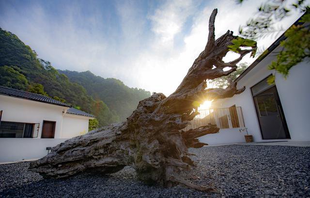不容錯過的民宿實景圖，聯排式小別墅樣式